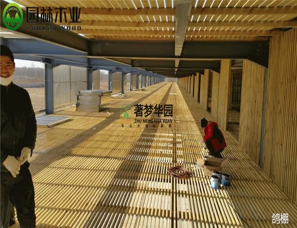 河南国产91视频APP下载鸽棚