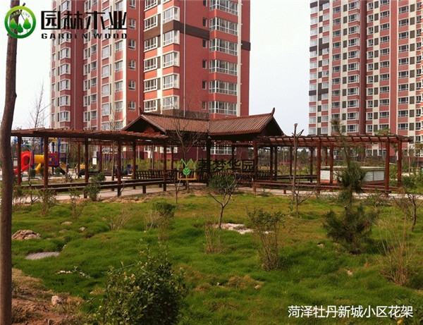 河南国产91视频APP下载花架